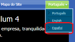 Pagina