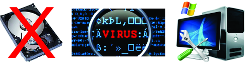 Virus